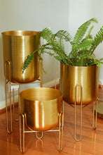 Load image into Gallery viewer, Gold Planter - 3 Set
