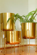 Load image into Gallery viewer, Gold Planter - 3 Set
